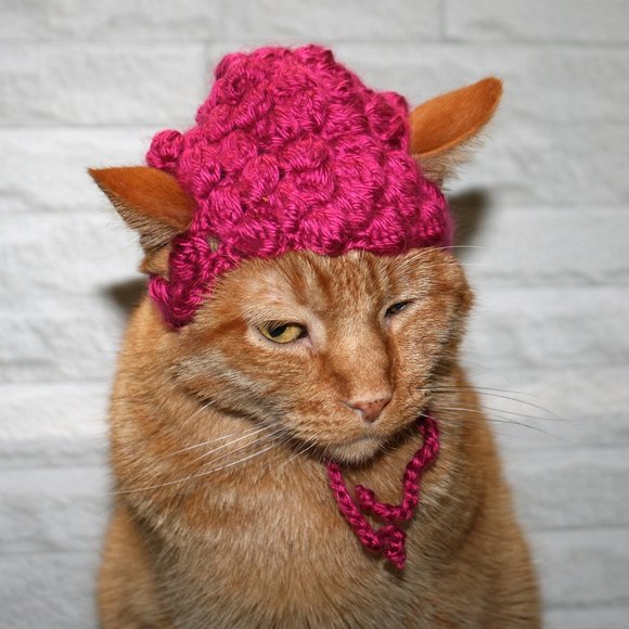 HAND CRAFTED Raspberry Beret Fruit Cat Hat Crochet Wig Costume Photo Prop - Picture 6 of 12